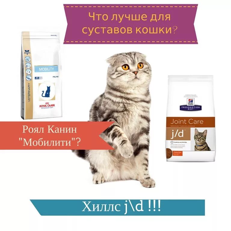 хиллс для суставов для кошек. 8737 хиллс sp корм д/взр кош (с ягн) 2кг. роял канин 10 кг. корм для кошек. хиллс k/d + mobility кошки.