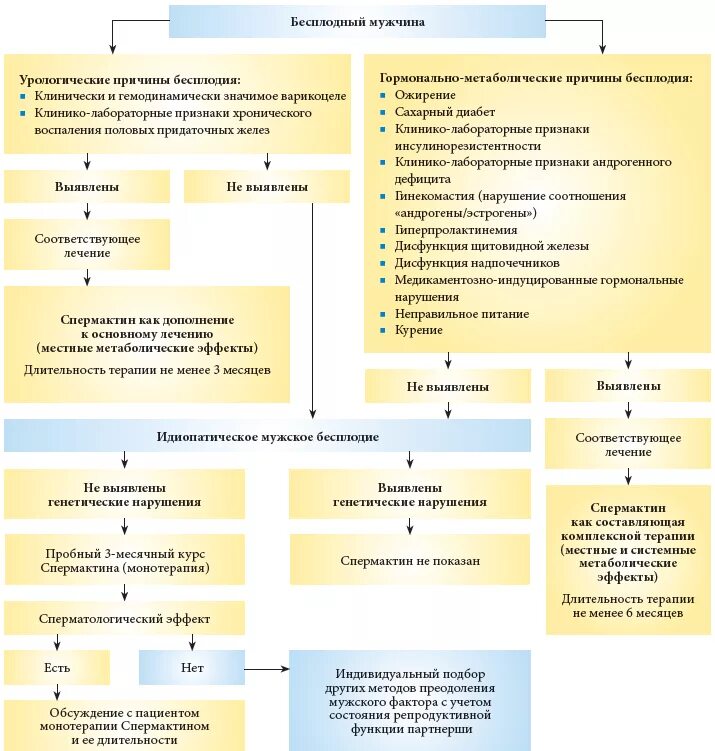 Мужское бесплодие этиология патогенез. Схемы лечения бесплодия у женщин. Методы диагностики мужского бесплодия. Диагнозы по бесплодию. Бесплодие яичко