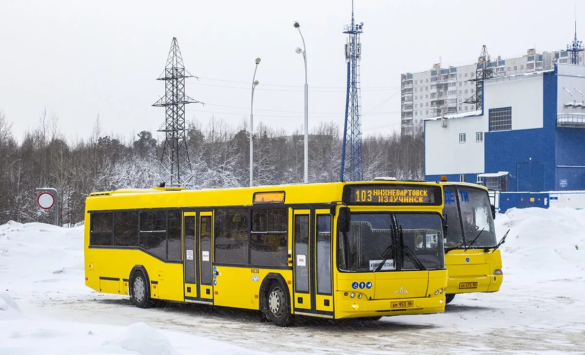 103 автобус нижневартовск расписание на сегодня. Автобус 103 Нижневартовск Излучинск. МАЗ-103 автобус Нижневартовск. МАЗ 103.515. Автобус Нижневартовск Излучинск.