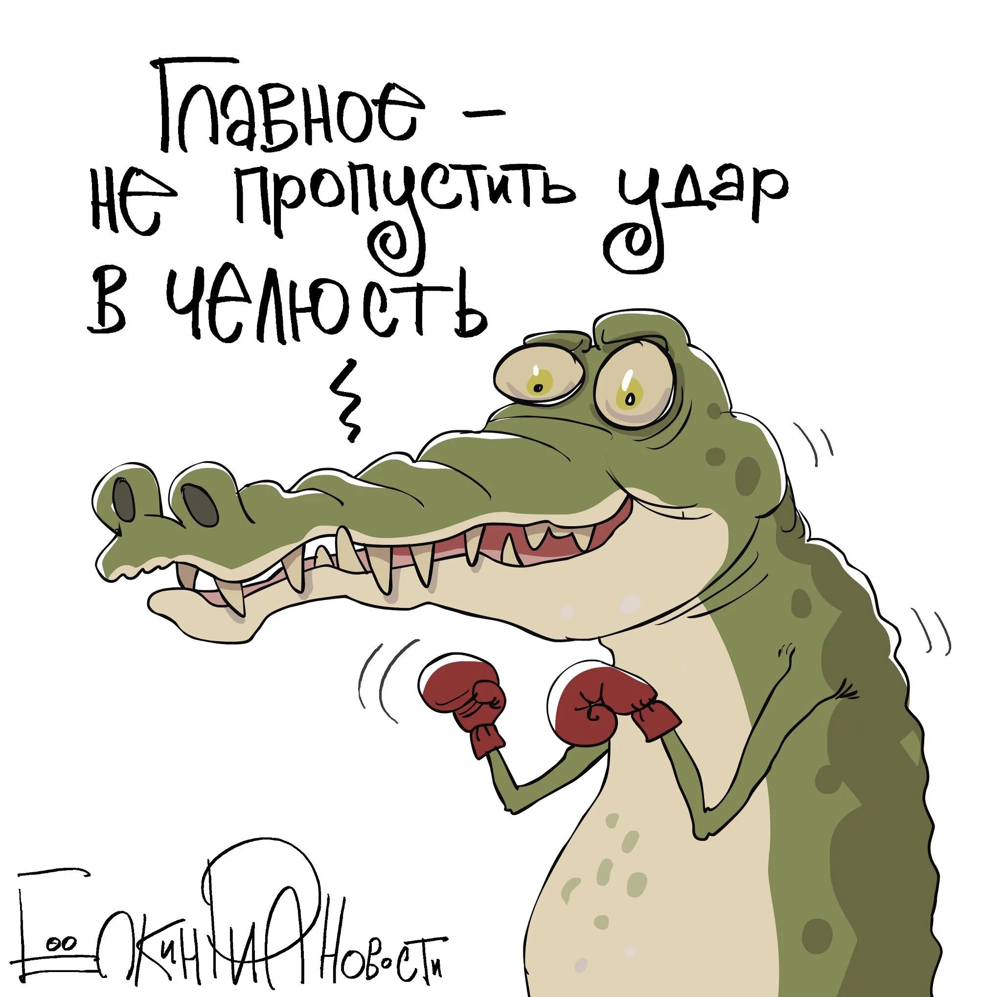 Крокодил прикол. Шутки про крокодила. Смешной Крокодильчик. Забавный крокодил. Песня бестолковый крокодил