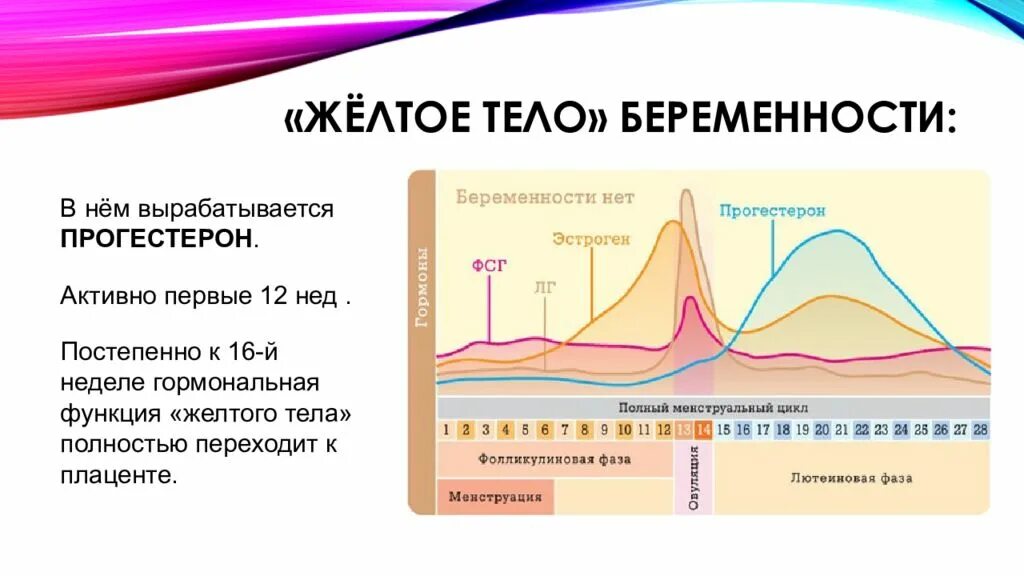 Через какое время вырабатывается