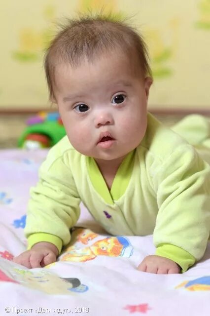 Анкеты детей малюток. Дом малютки. База детей сирот 2023. База данных детей на усыновление удмуртии 2022г. Детский дом малютки.