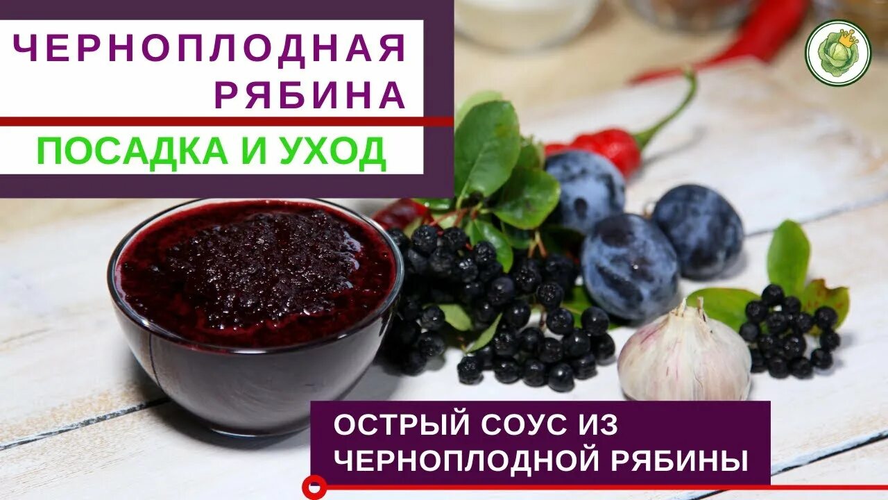 Соус из черноплодной рябины