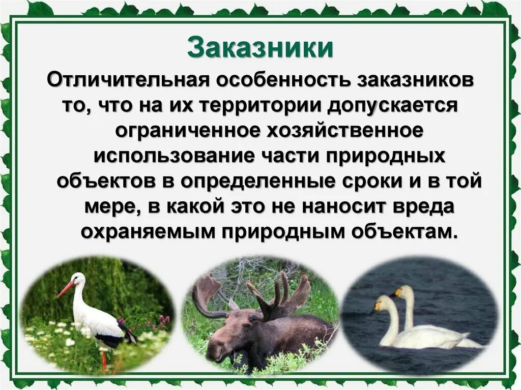 Заказник. Особенности заказников. Характеристика заказника. Особенности территорий заказники.