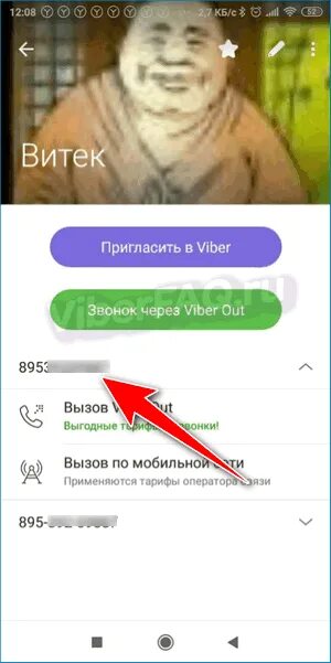 Контакт Viber. Скрыть номер в вайбер. Вызов Viber out (+79527702214). Viber скрыть номер. Как скрыть номер телефона в вайбер