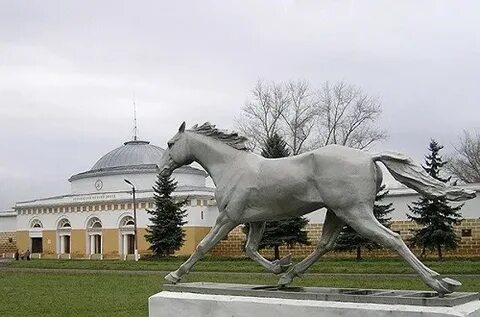 Хреновской конный завод