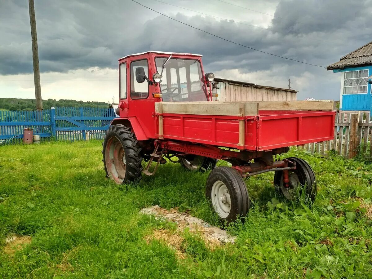 Купить рассрочку мтз. Т-16 (трактор). Трактор Владимирец т-16. ХТЗ т16м. Трактор т 25 с кузовом.