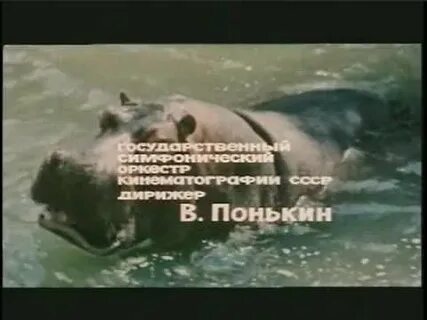 Песня бегемотов слушать