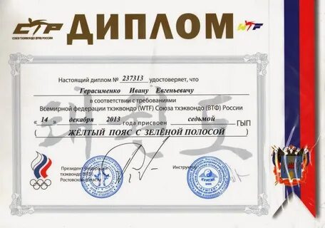 Программа тхэквондо