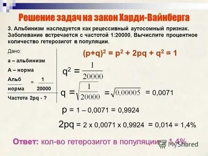 Как определить частоту встречаемости признака