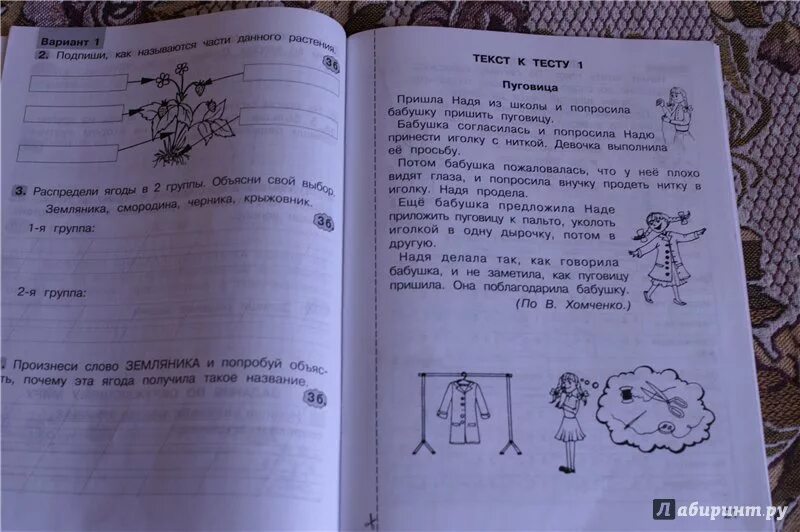 Задания по пр текстам. Холодова комплексные работы. Комплексные задания для 1 класса. Работа по тексту 1 класс. Работа с текстом 1-2 класс.