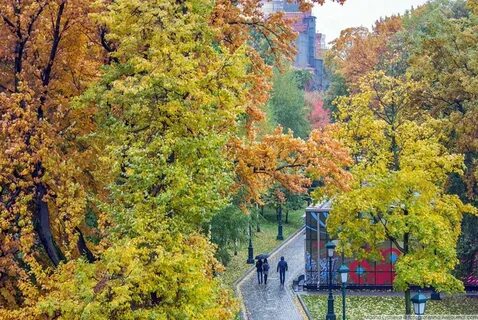 Места где красиво осенью москва
