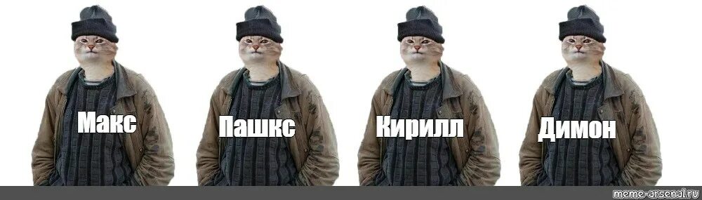 Кот димон. Макс мем. кот макс мем.