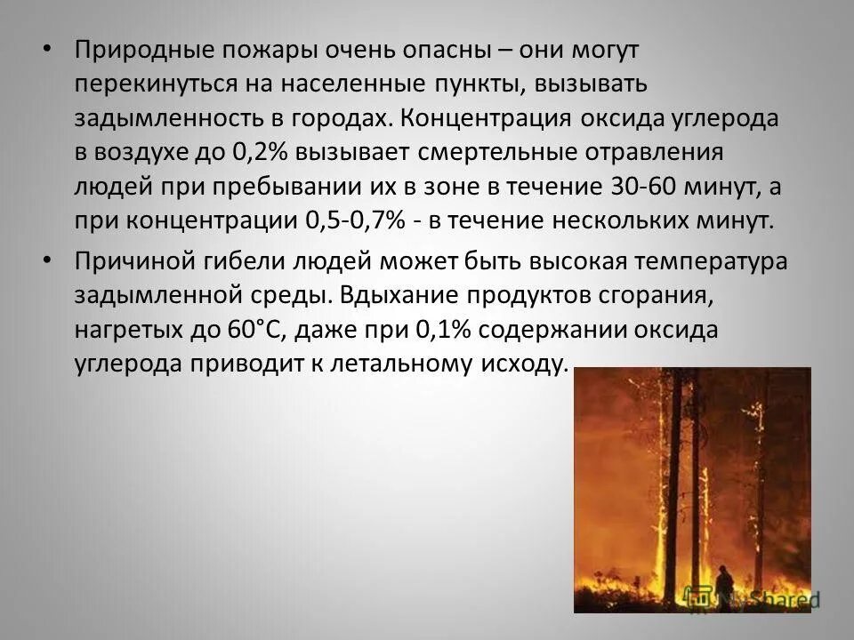 природные пожары чс. характеристика природных пожаров. характеристика природных пожаров. характеристика природных пожаров. краткая характеристика лесных пожаров.