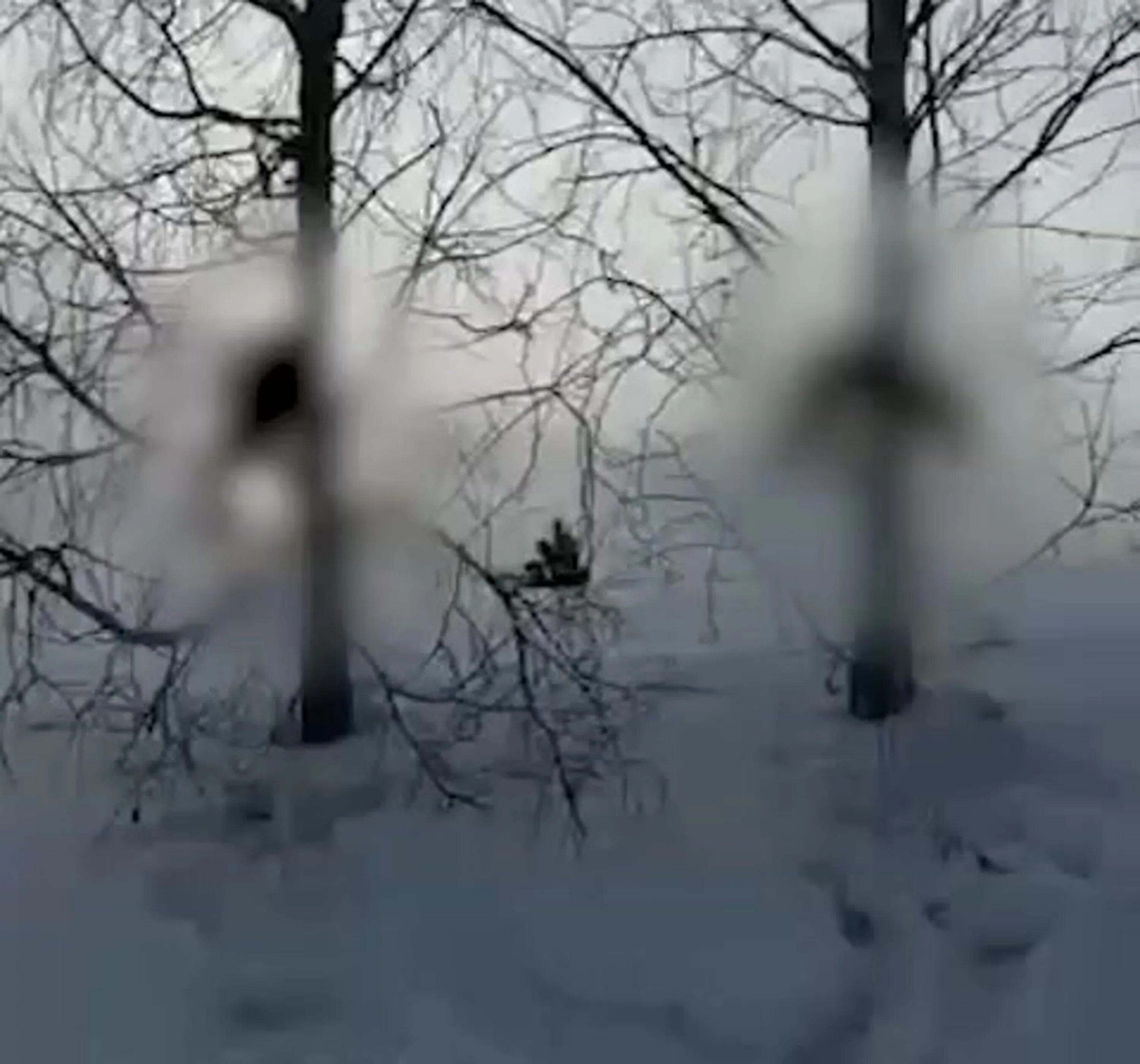 Песня джиос- рана. Слова песни просвистела ддт. Убитая в доску осень. Песня там там убитая осень. Песня просвистела текст.