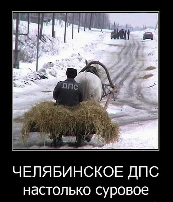 Суровый прийтись