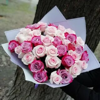 Розы 37