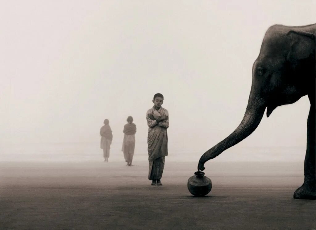 Художник картины ирика мусина. Грегори колберт. Современное искусство инсталляции. Человек ценящий искусство. Искусство неправильных лиц.