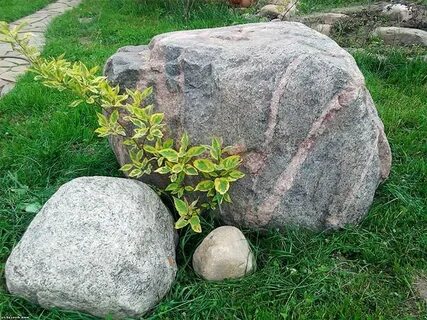 Камень куст