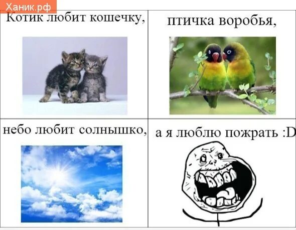 Облако в виде сердца. Небо любит солнышко птичка. Счастье пейзаж. Птичка любит солнышко а я люблю тебя. Ты солнышко я люблю тебя мем.
