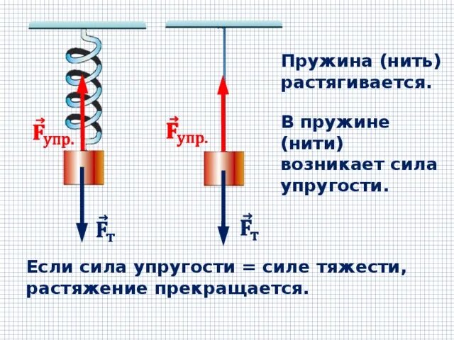 Направление силы упругости 7 класс. Сила тяжести сила упругости вес тела 7 класс. Сила упругости 10 класс физика. Точка приложения сила упругости 7 класс физика.