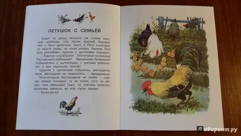 Петушок с семьей ушинский