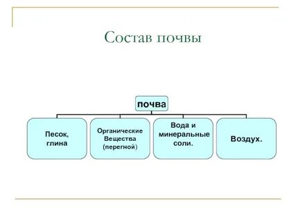 В минеральный состав почв входят