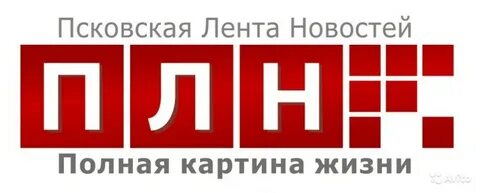 Pln 24