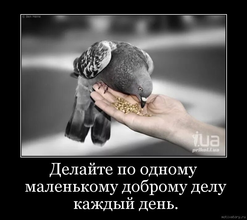 Я помогаю я делаю добро. Демотиваторы про доброту. Мотиватор доброта. Мотиваторы на добрые дела. Сила доброты.