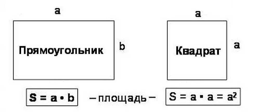 Как рассчитать метры в квадрате. Как вычислить квадратный метр прямоугольника. Площадь прямоугольника в квадратных метрах. Как посчитать площадь прямоугольника.