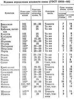 Через какое время взойдет морковь