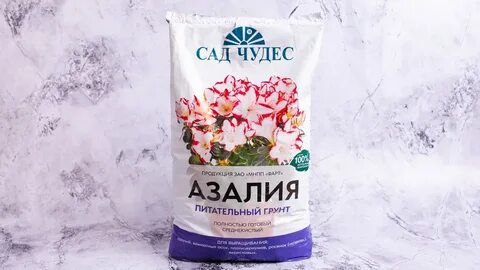 Сад чудес екатеринбург