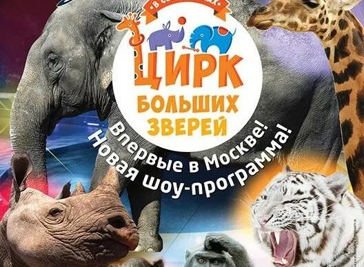 Цирк больших животных. Цирк больших животных