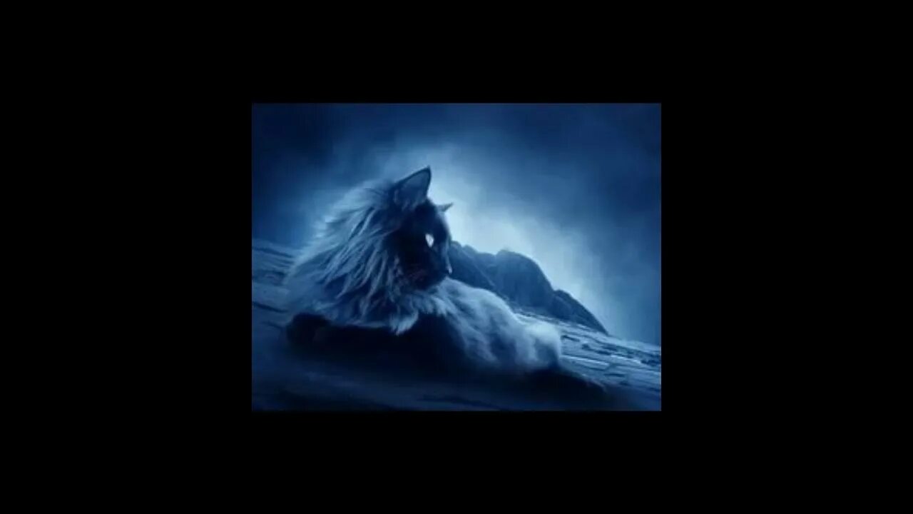 Лунный кот магазин. Лунный кот наталья ветлицкая. Лунные коты песня слушать. Мистические коты. Ночной кот.