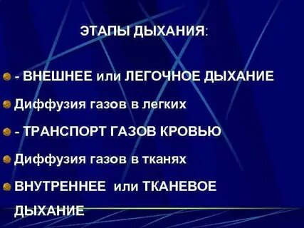 Дыхание транспорта