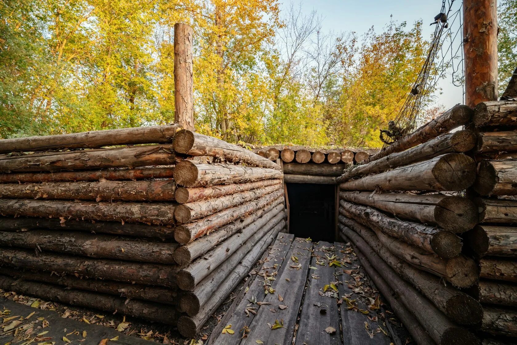 Группа бревна. Группа бревна