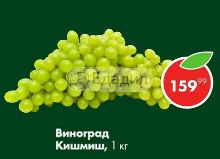 Кишмиш 5 букв сканворд
