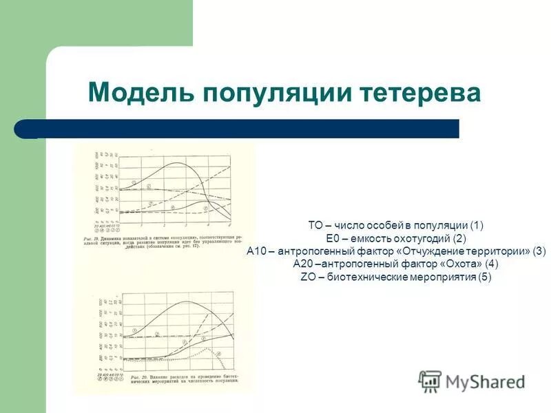 емкость популяции. экспоненциальный рост экология. функционирование популяции и динамика её численности в природе. емкость популяции. емкость популяции.