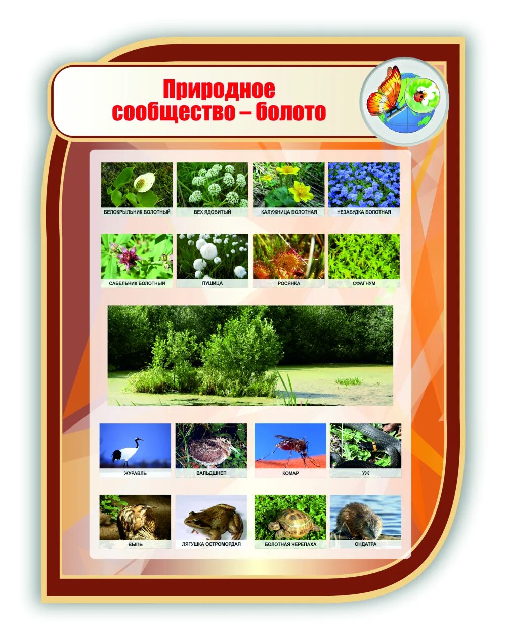 Природные сообщества 3 класс задания. Природные сообщества 3 класс задания