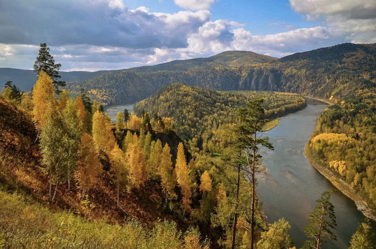 Какая природа в красноярске. Тайга река Енисей. Река Мана Красноярский край. Мана река в Красноярском крае. Красноярский край Тайга Енисей.