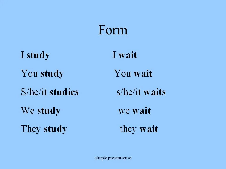 Форма глагола study в английском. Глагол study в present simple. Wait в паст Симпл. Глагол study в презент Симпл. Wait present simple.