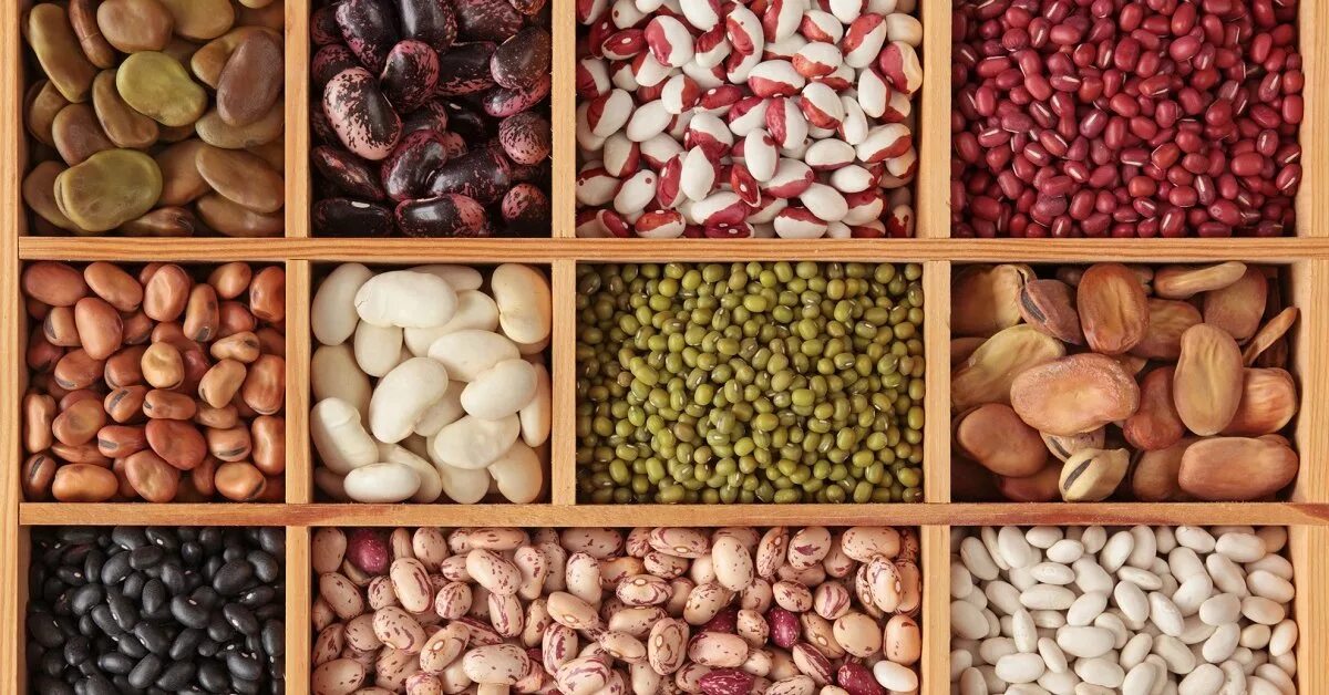Beans. Green beans. Red beans. Light beans. Black eye beans. Purple beans. Фасол