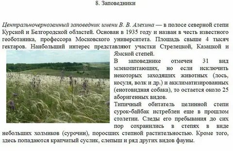 Разбор степи по плану