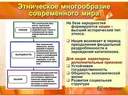 Какой тип общества сформировался в этих странах