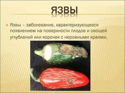 Заболевание овощей