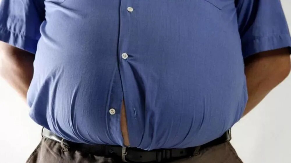 Как называется большой живот. Как называется большой живот. Как называется большой живот. Как называется большой живот. Как называется большой живот.