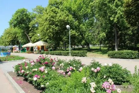 Загородный парк фото