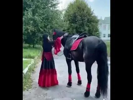 Казачья песня конь любимый вороной