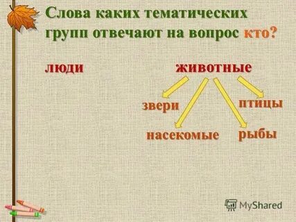 Группы слов по лексическому значению 2 класс