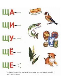 39. Буква ш для раскрашивания. 
